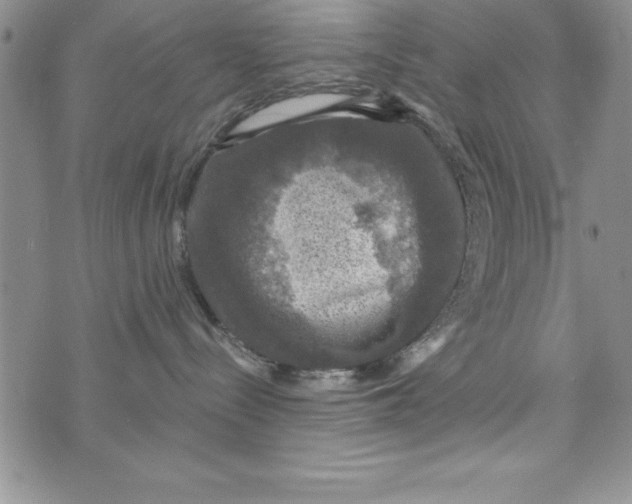 X0000075900288200610062125