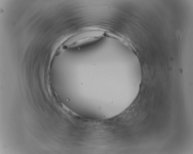 X0000075900289200610062125