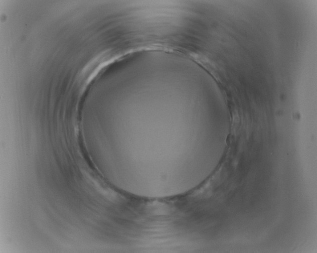 X0000075900290200610062125