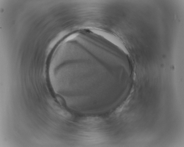 X0000075900292200610062125