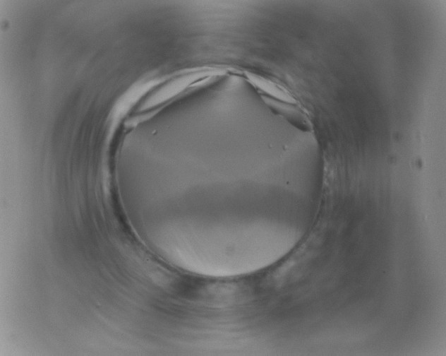 X0000075900294200610062124