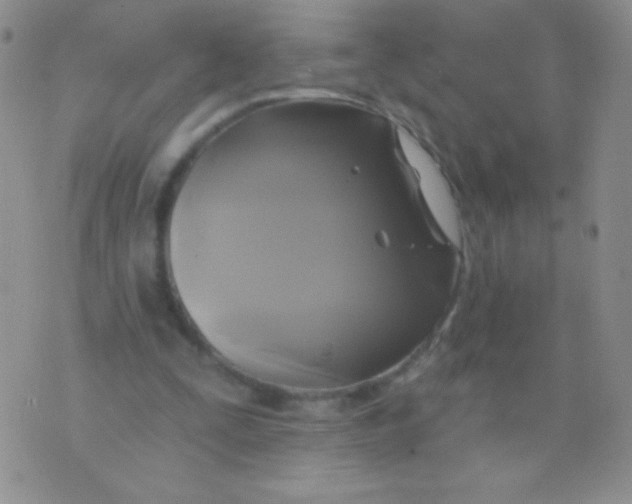 X0000075900295200610062124