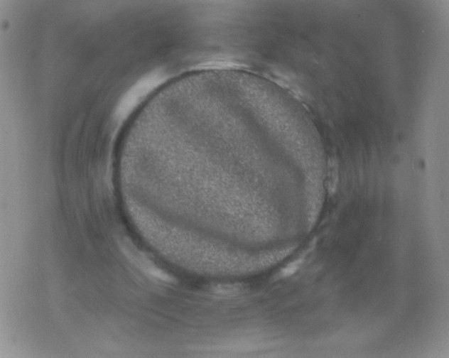 X0000075900296200610062124