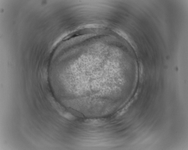 X0000075900297200610062124