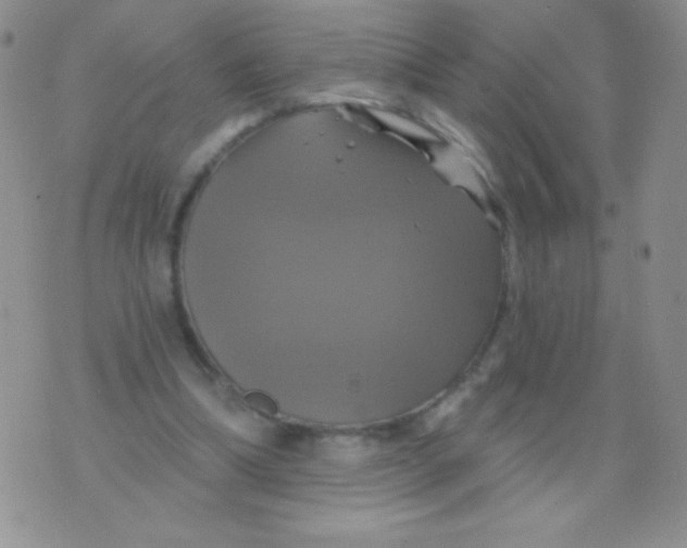 X0000075900298200610062124