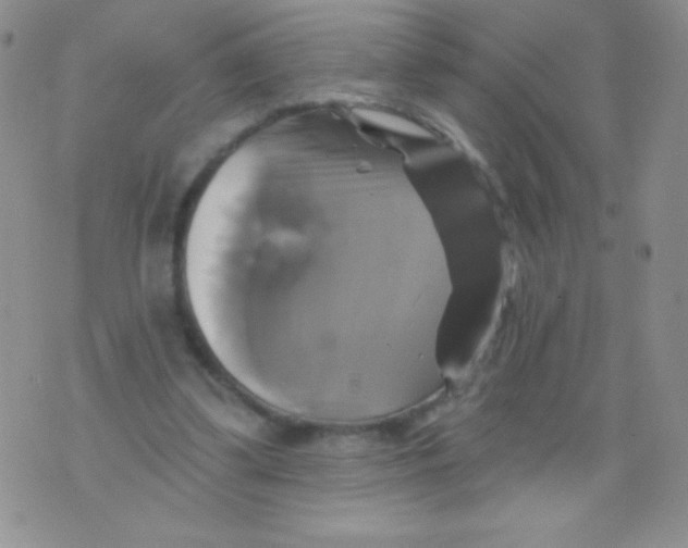 X0000075900299200610062124