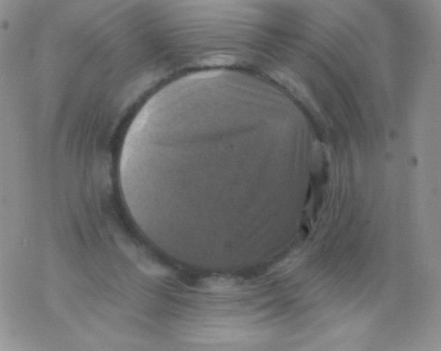 X0000075900300200610062124