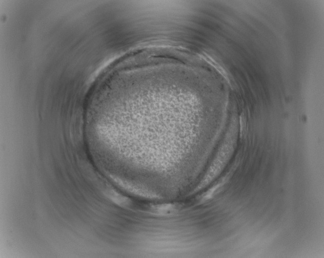 X0000075900301200610062124