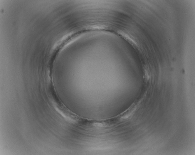 X0000075900302200610062124