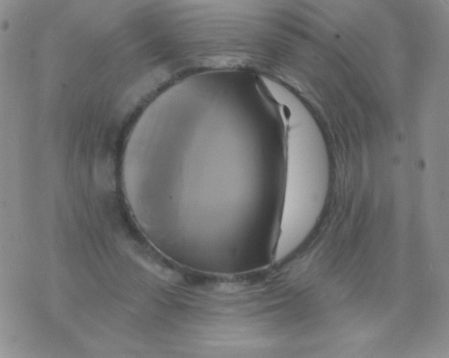 X0000075900303200610062124