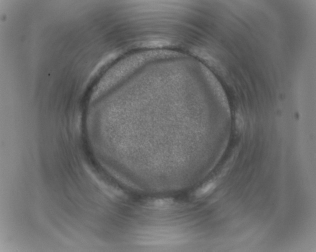 X0000075900304200610062124