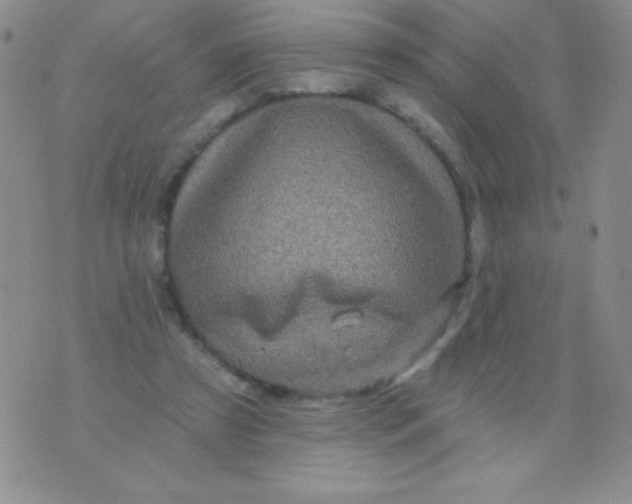 X0000075900305200610062124