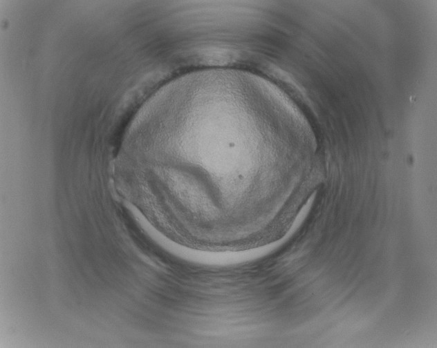 X0000075900307200610062124