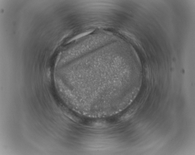 X0000075900308200610062124