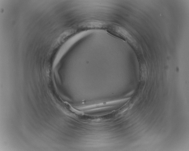 X0000075900309200610062124