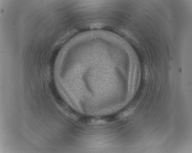 X0000075900311200610062124