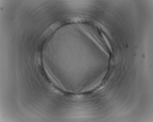 X0000075900313200610062124