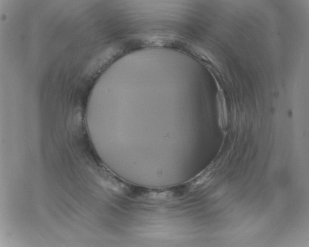 X0000075900314200610062124