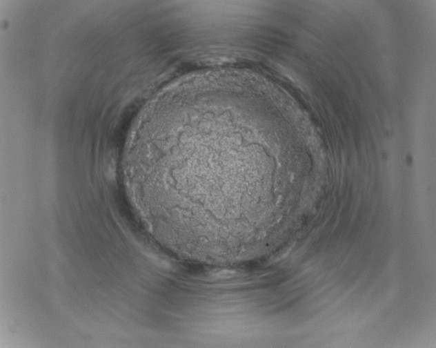 X0000075900315200610062124