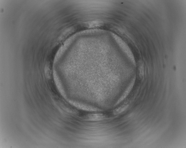 X0000075900316200610062124