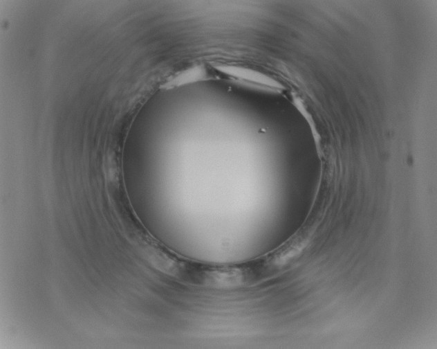 X0000075900317200610062124