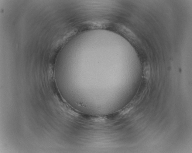 X0000075900318200610062124