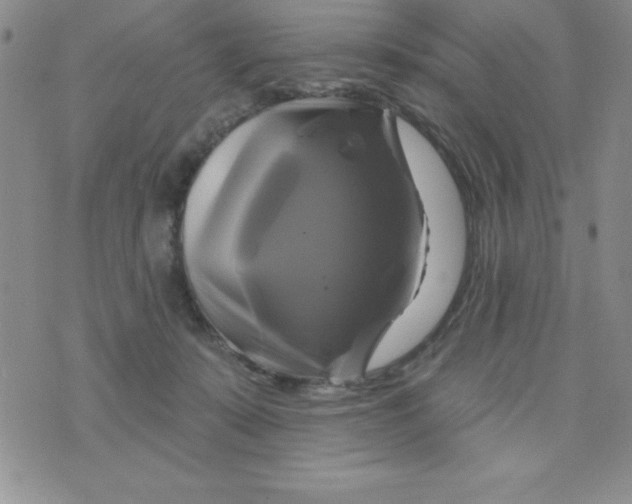 X0000075900319200610062124