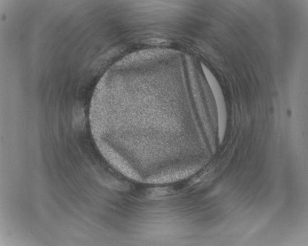 X0000075900320200610062124