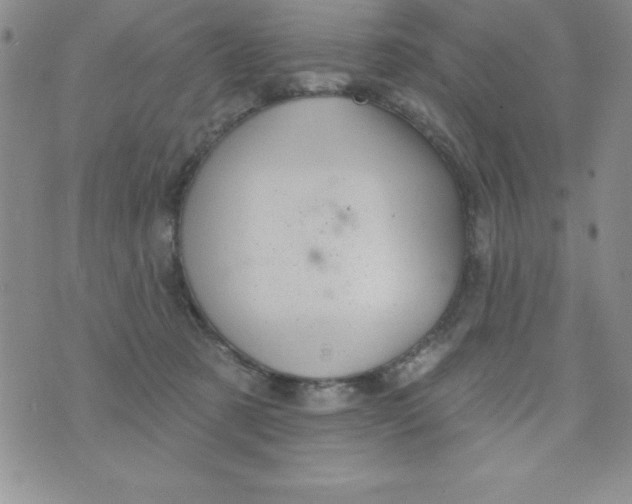 X0000075900321200610062124