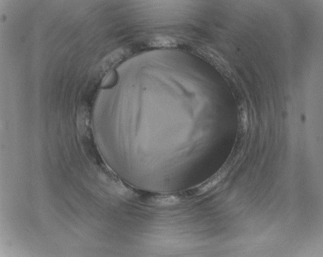 X0000075900322200610062124