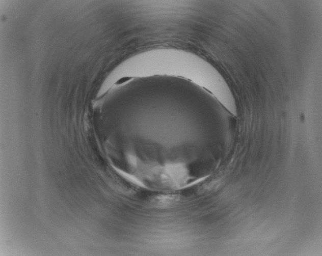 X0000075900323200610062124