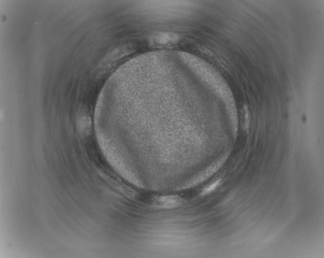 X0000075900324200610062124