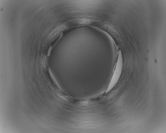 X0000075900325200610062124