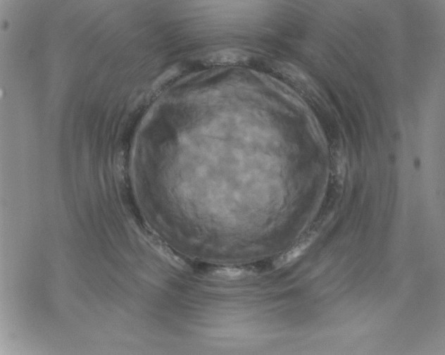 X0000075900326200610062124