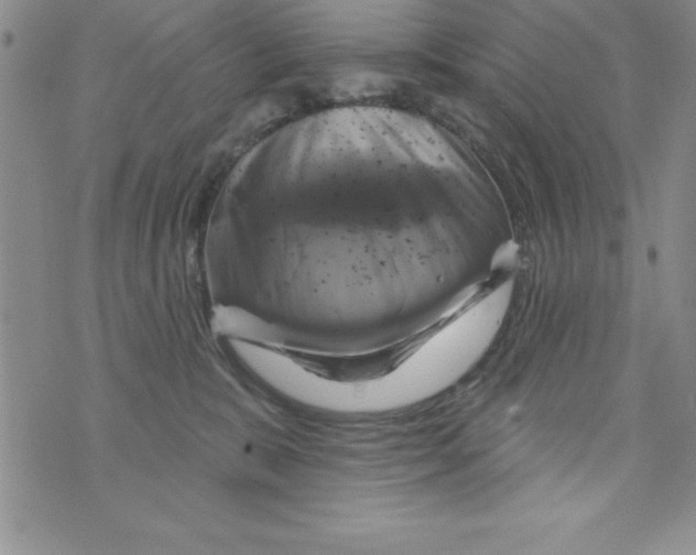 X0000075900327200610062124