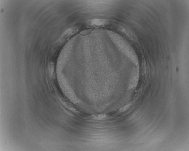 X0000075900328200610062124