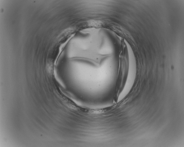 X0000075900329200610062124