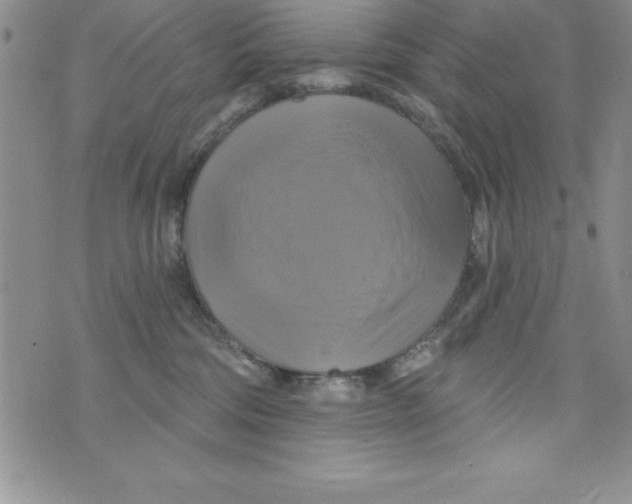 X0000075900330200610062124