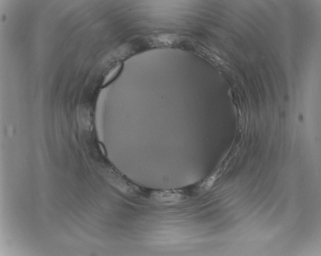 X0000075900331200610062124