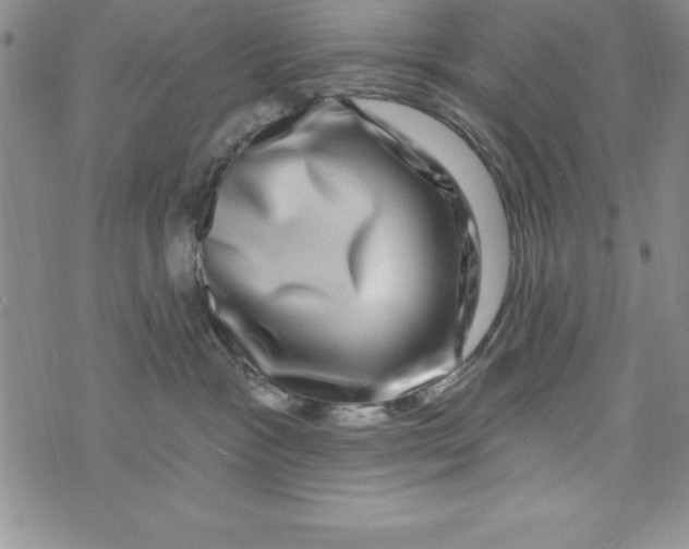 X0000075900333200610062124