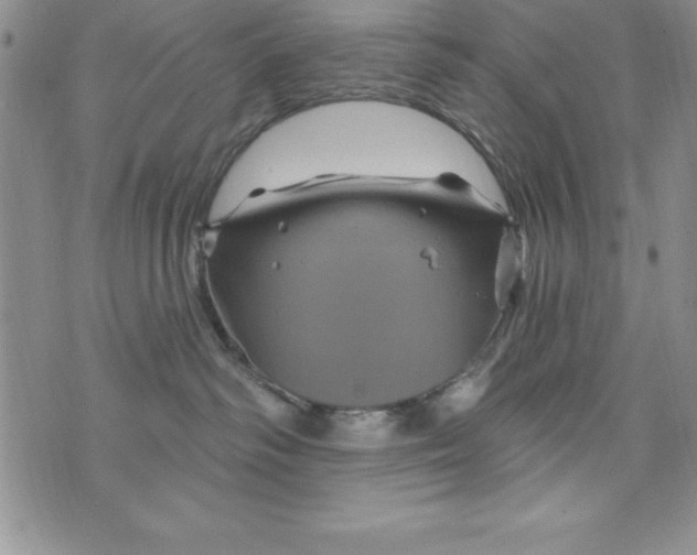 X0000075900334200610062124