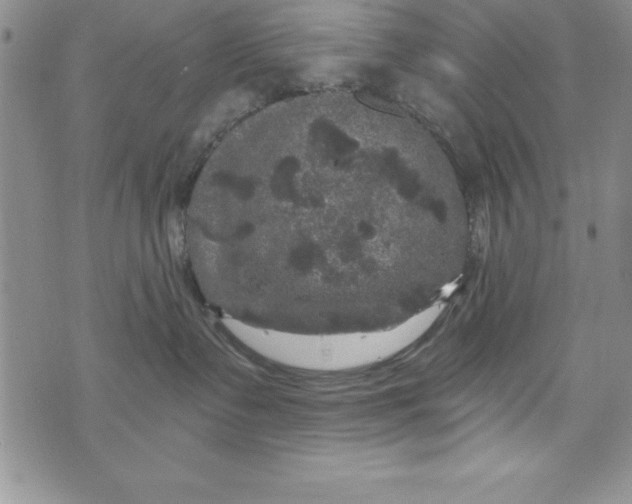 X0000075900335200610062124