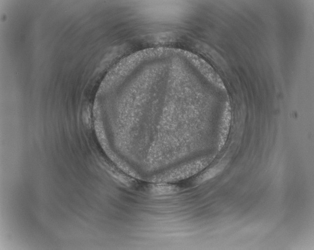 X0000075900336200610062124