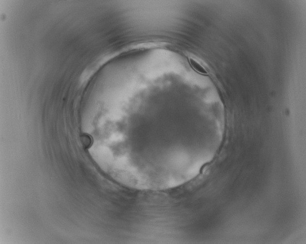 X0000075900337200610062123