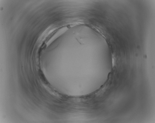 X0000075900339200610062123