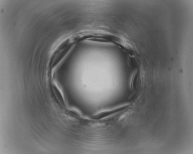 X0000075900340200610062123