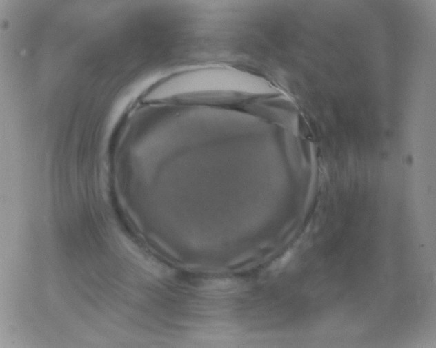 X0000075900342200610062123