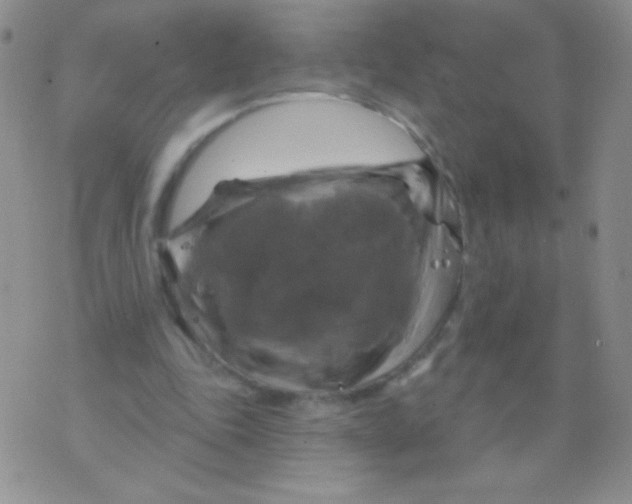 X0000075900343200610062123