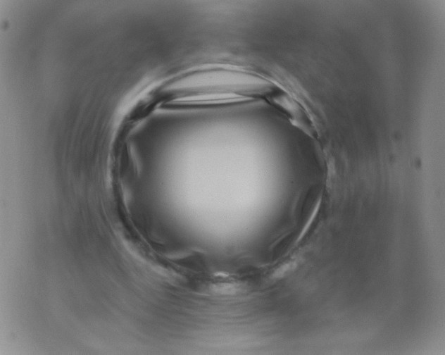 X0000075900344200610062123