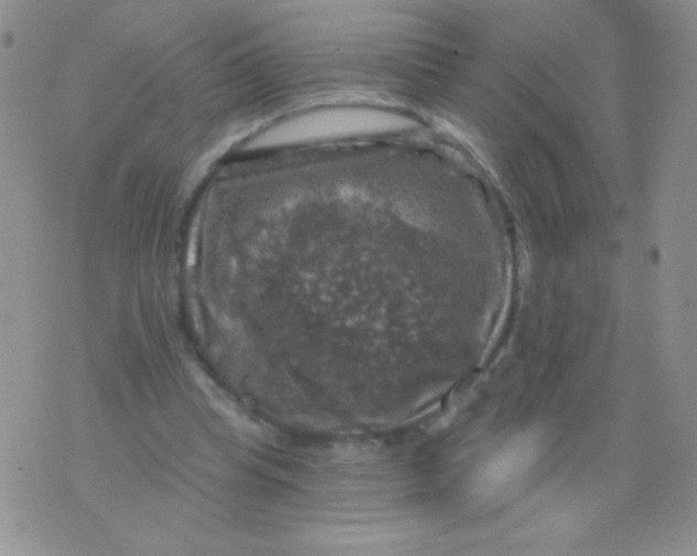 X0000075900345200610062123